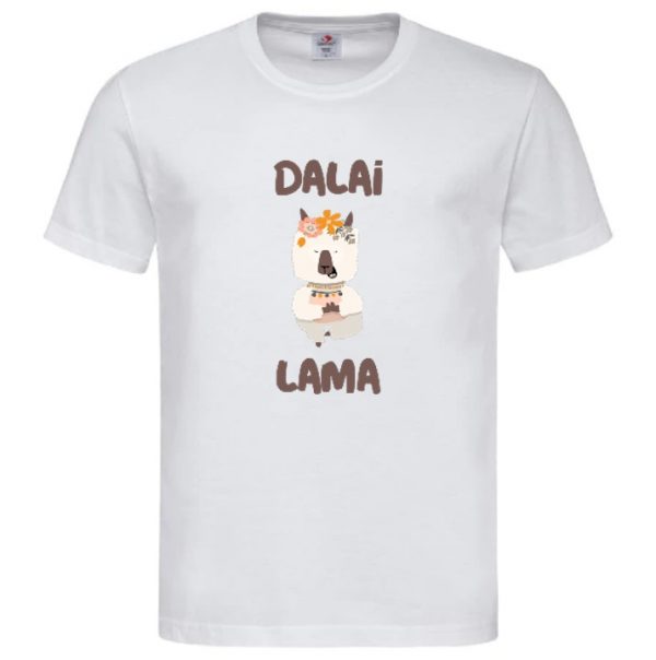 Dalai Lama 13703