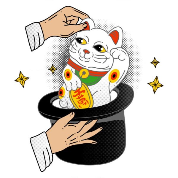 detial potlace magic cat